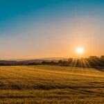 Agrivoltaico: un incontro per parlare di prevenzione delle controversie