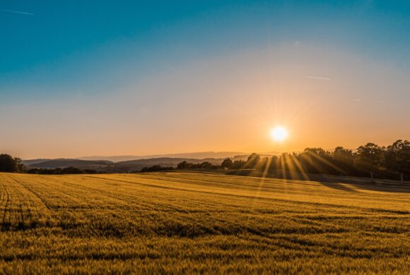 Agrivoltaico: un incontro per parlare di prevenzione delle controversie