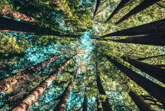 Mediazione e Facilitazione in campo ambientale: 18 Giugno Convegno a Milano (e online) Mediazione e Facilitazione in campo ambientale: 18 Giugno Convegno a Milano (e online)